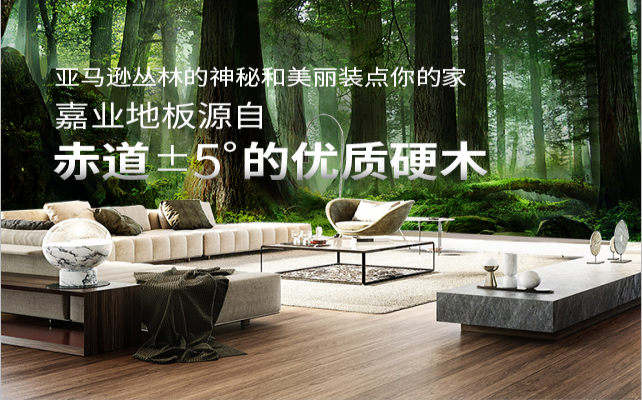 暗网禁区免费版地板